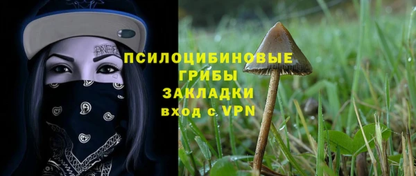 apvp Богородицк