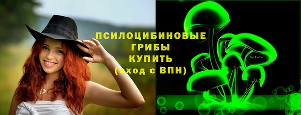 apvp Богородицк