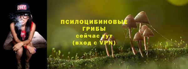 apvp Богородицк