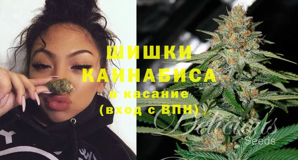 ГАЛЛЮЦИНОГЕННЫЕ ГРИБЫ Богородск