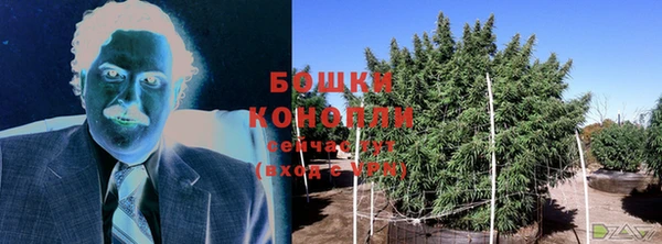 apvp Богородицк
