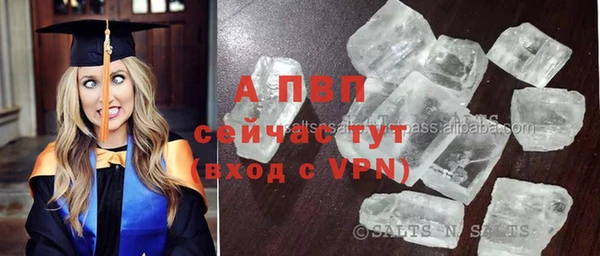 apvp Богородицк