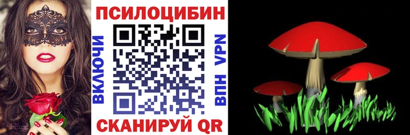 Галлюциногенные грибы Psilocybe  Каспийск 