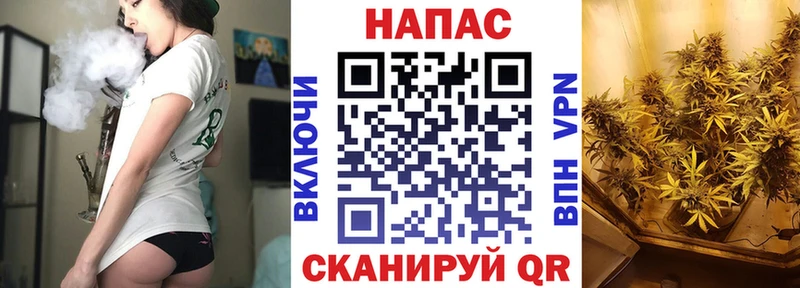 где найти   Каспийск  Канабис гибрид 
